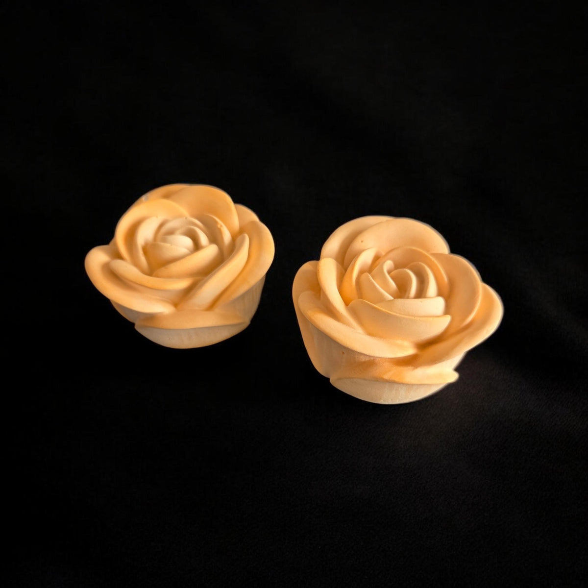 Duo de Roses Élégantes en Plâtre
