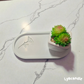 Plateau fleur en plâtre- fait main