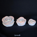 Trio roses multicolore - Senteur Barbe à papa